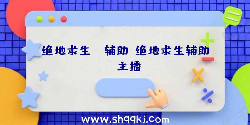 绝地求生ko辅助、绝地求生辅助